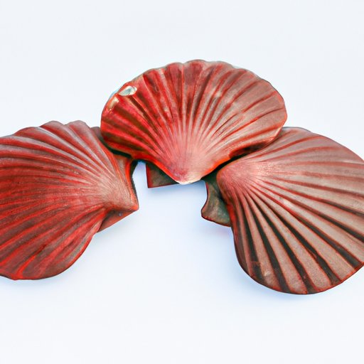 What are the popular shell product types?